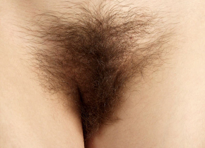 Hairy girl wife naked bush xxx pics